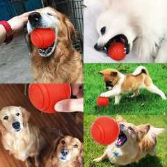 Bite-Resistant Ball