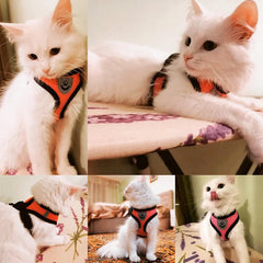 Pet Harness Vest - S