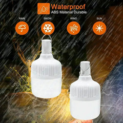 Outdoor Camping Light Bulb