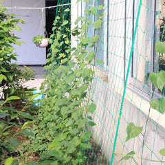 Nylon Garden Net