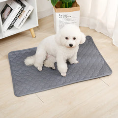 Reusable Dog Pee Pad - S