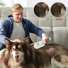 Pet Cleaning Steam Brush