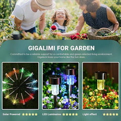 Outdoor Garden Solar Lights