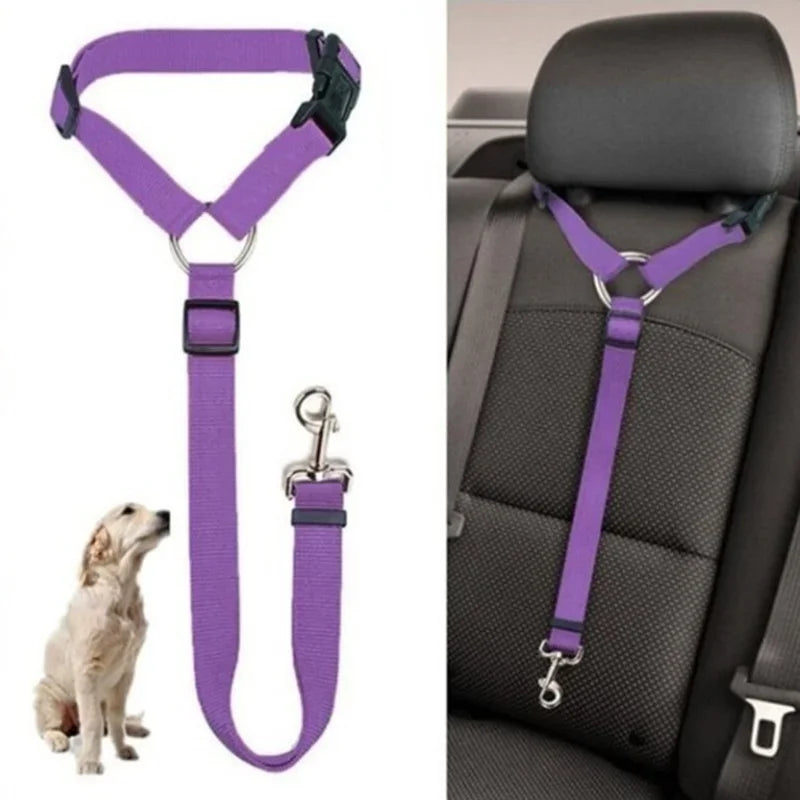 Pet Car Seat Leash