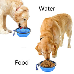 Collapsible Pet Feeder