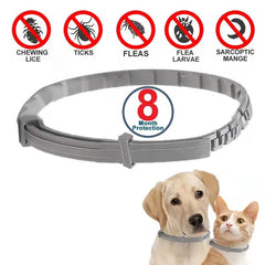 Pet Anti Flea Collar