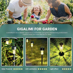 Outdoor Garden Solar Lights