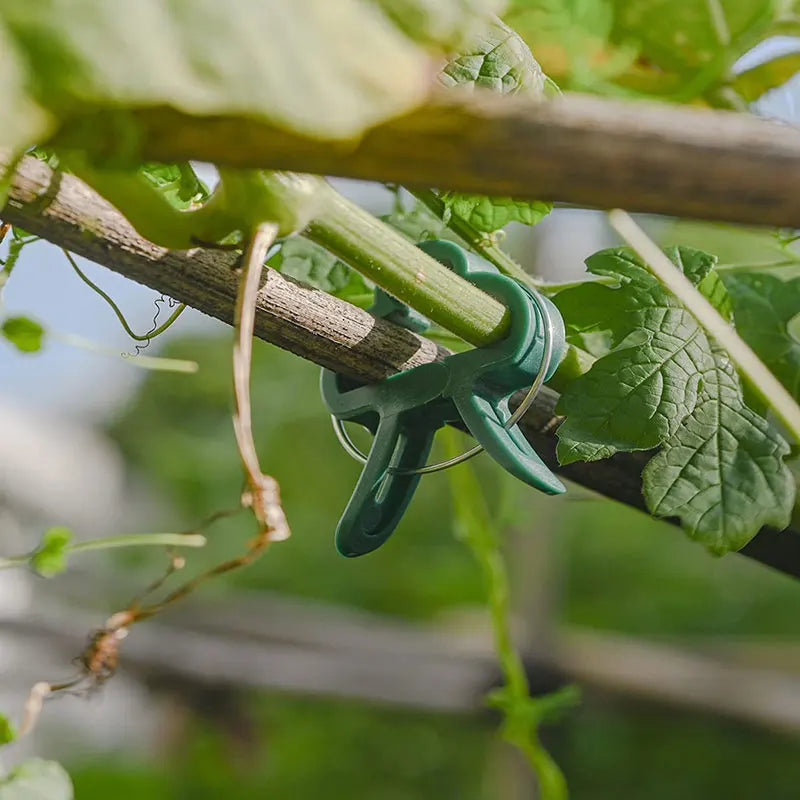 Garden Vine Clip