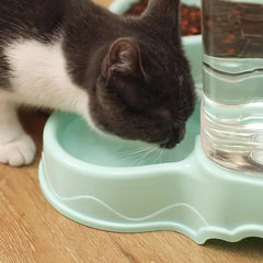 Automatic Feeder