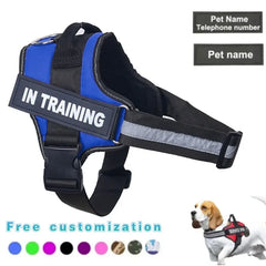 Training Dog Harness