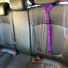 Pet Car Seat Leash