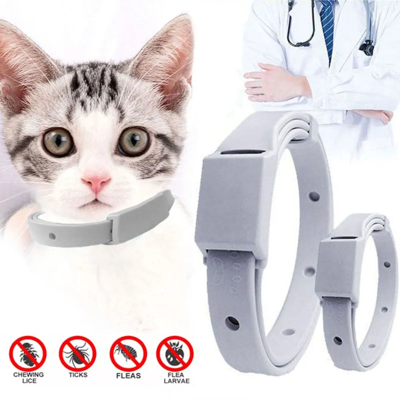 Anti Flea Pet Collar