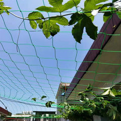 Nylon Garden Net