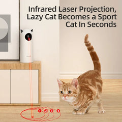 LED Laser Cat Toy