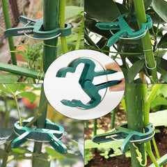 Garden Vine Clip